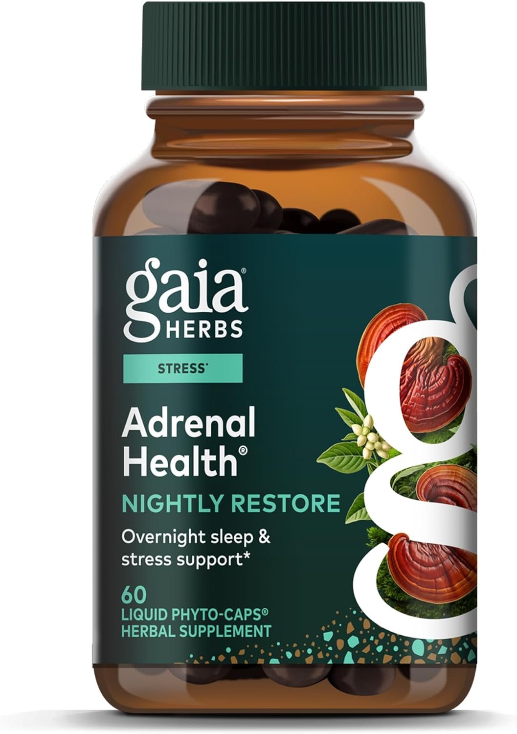 Gaia Herbs Adrenal Health Nightly Restore – Herbal Supplement with Ashwagandha, Magnolia Bark, Cordyceps, Lemon Balm & More* – 60 Vegan Liquid Phyto-Caps (30 Servings)